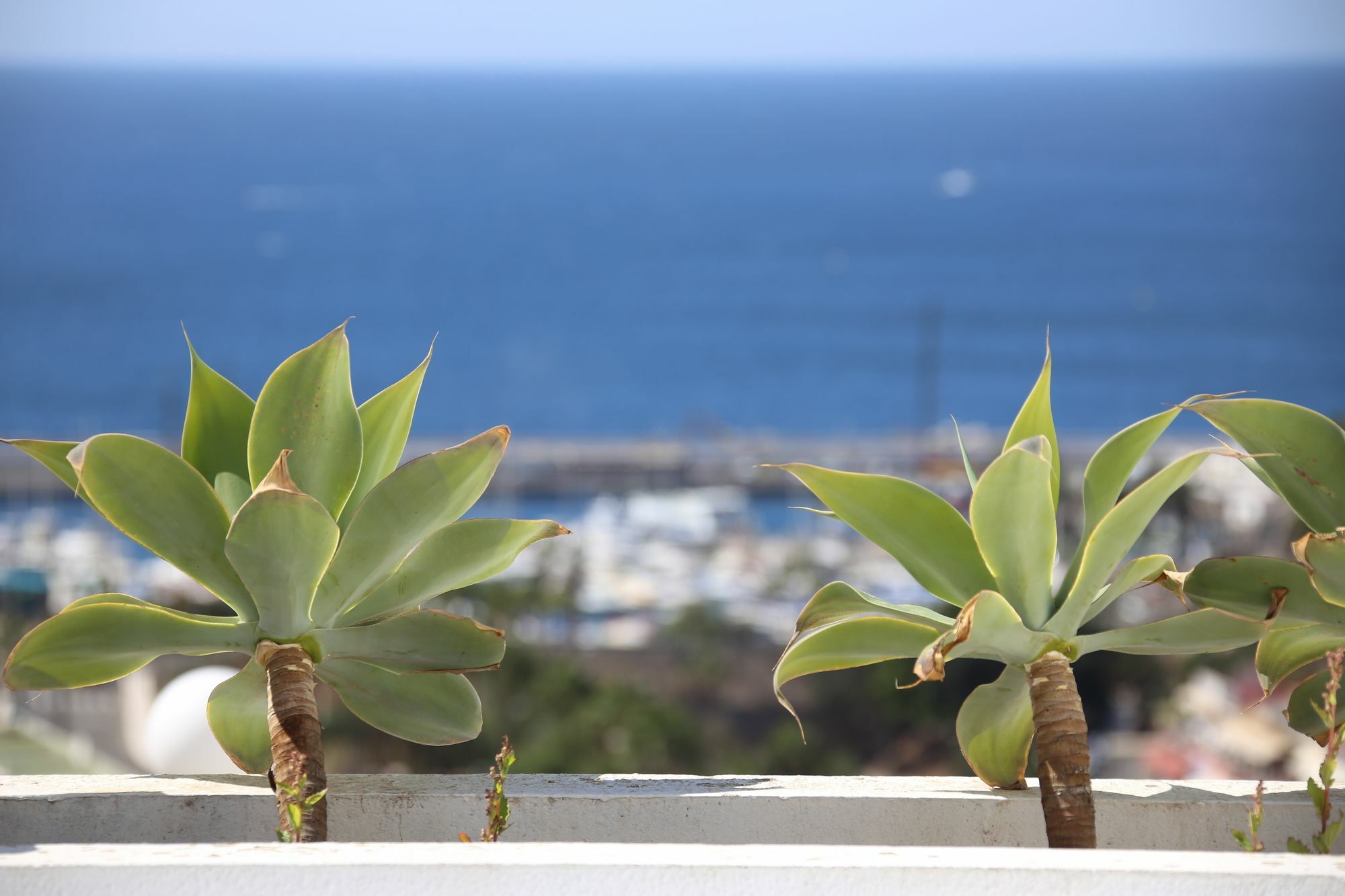 Apartamentos Halley Πουέρτο Ρίκο Εξωτερικό φωτογραφία